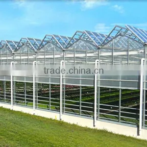 Large Commercial Glass Greenhouseglass/ Agricultural Greenhouses/Glass Venlo Greenhouse thumbnail-1