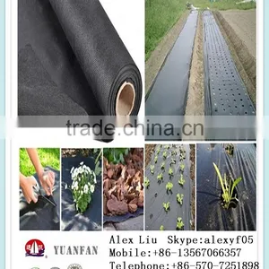 Tnt Nonwoven Fabric , Plant Cover Non Woven thumbnail-5