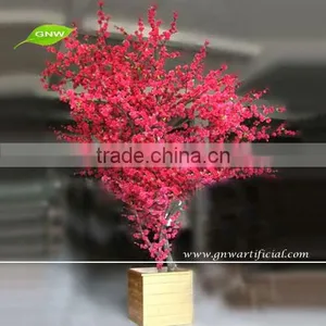 GNW BLS033 Red Blossom Bonsai Tree Indoor Flowering Trees thumbnail-1