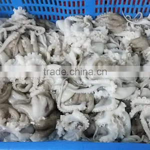 Frozen Baby Octopus in Ball Shape thumbnail-2