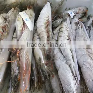 Frozen Shrimp Jumbo thumbnail-1