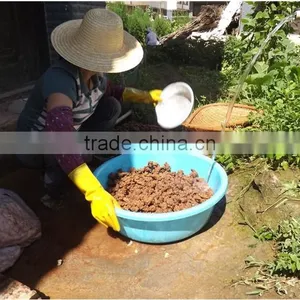 Farmers Supply Wenshan Sanchi Radix Notoginseng 30 PCS /500 G thumbnail-4