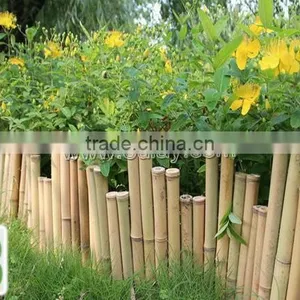 Bamboo Edging for Small Garden thumbnail-1