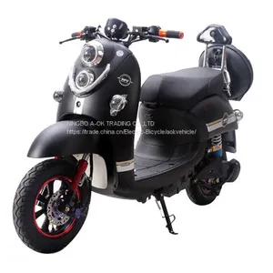 New Style Adult 1000W Brushless Dirt Bike With Lead Acid Battery thumbnail-1