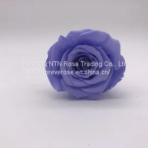 Preserved Flowers for Party Decoration thumbnail-4