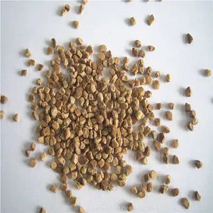 High Quality Walnut Shell Sand / Crushed Walnut Shell 10# 20# in Abrasive thumbnail-2