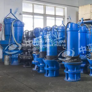 Pitshaft Axial- Flow Pump thumbnail-3