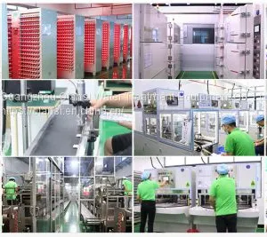 Top Lithium Battery Company Online Store thumbnail-1