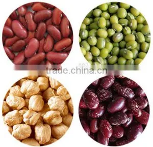200-220 Pcs/100g Chinese Dark Red Kidney Bean Prices thumbnail-3