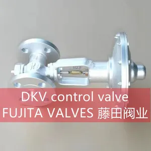 DKV FUJITA VLAVES thumbnail-1