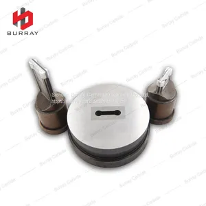 16NR11BSPT Carbide Powder Metallurgy Pressing Thread Insert Punching Mold thumbnail-1