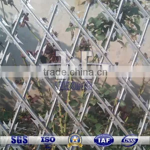 Galvanized Diamond Hole Welded Razor Wire Fence thumbnail-1