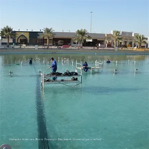 Dubai Music Fountain Project thumbnail-1