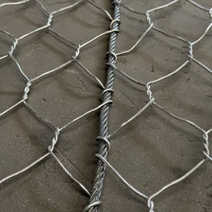 Galvanized Double Twist Steel Mesh Grid Structure Reinforced Mesh for Coastal Rockfall Protection Netting thumbnail-2