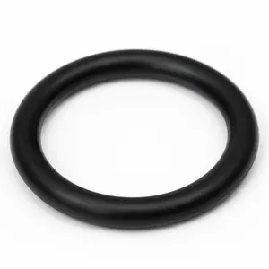 Air Compressor Wear-Resistant O-Rings | Industrial Pneumatic Systems thumbnail-1