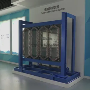 Electrolytic Seawater Treatment for Coastal Power Plant Circulating Water Anti-Fouling thumbnail-5