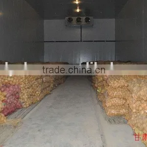 Potato Storage Refrigerator thumbnail-1