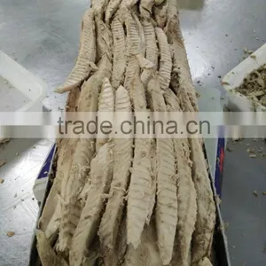 Precooked Skin Striped Bonito Loin thumbnail-1