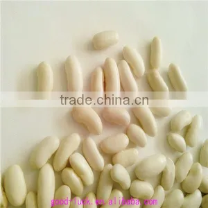 White Kidney Beans (new Crop) thumbnail-6