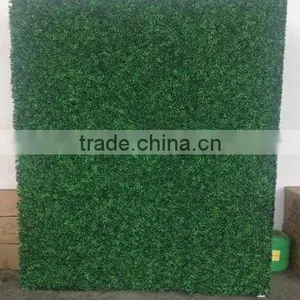 PVC Coated Frame Finishing and Nature Pressure Treated Wood Type Artificial Boxwood Hedge thumbnail-6