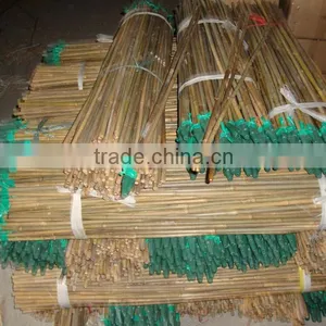 Bamboo Teepe thumbnail-1