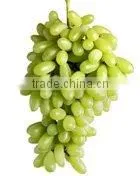 [super Deal] Fresh Grapes thumbnail-1