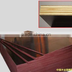 1220X2440 Black Film Faced Plywood thumbnail-6