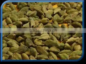 Cardamom thumbnail-1
