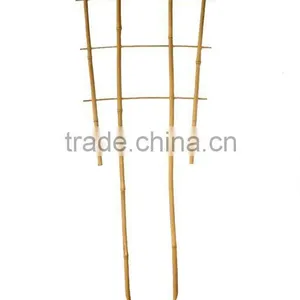 Bamboo Trellis - Bamboo Vine -Top Quality ! thumbnail-1