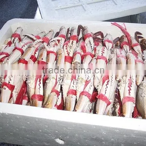 Frozen Whole Three Spotted Crab With High Quality thumbnail-2