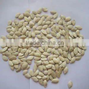 Dried Snow White Pumpkin Seeds Lady Nail Pumpkin Seeds thumbnail-2