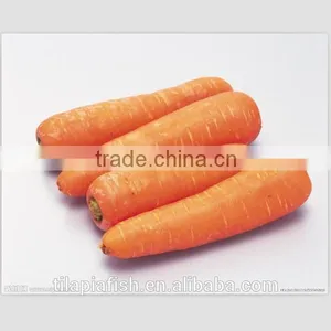 Red Carrot, Fresh Carrot, Carrot Seeds thumbnail-1