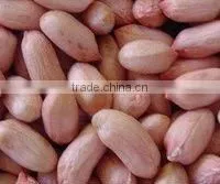 Vacuum Bag Packed Peanut 25KG thumbnail-1