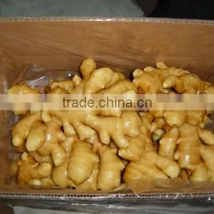 2016 Chinese Fresh Ginger for Hot Selling thumbnail-6