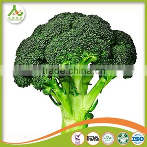 2016 New Crop Chinese Fresh Broccoli thumbnail-2