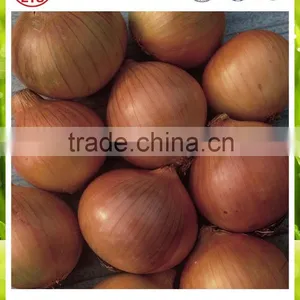Best Quality Fresh Products Red/yellow Onion From China thumbnail-5