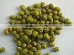 Green Mung Bean thumbnail-1
