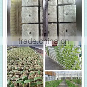 Seed Starting Hydropnics Rockwool for Nursery / Gardening thumbnail-4