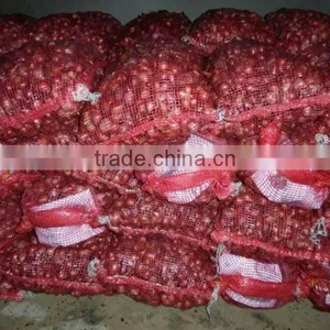 Vietnam Fresh Onion for Kuwait Market thumbnail-6