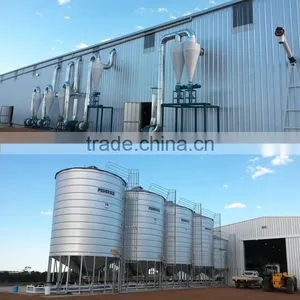 The Best Quality Maize Seed Processing Plant thumbnail-5