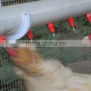 Automatic Chicken Feeding System From China Manufacturer/silo Feeding System thumbnail-3