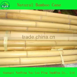 Raw Flooring Bamboo thumbnail-1