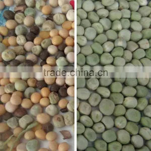 Excellent Quality CCD Bean Color Sorter thumbnail-5