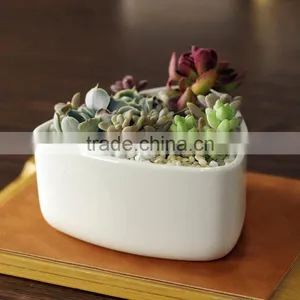 New Design Rounded Triangle Small White Ceramic Shallow Pot thumbnail-3