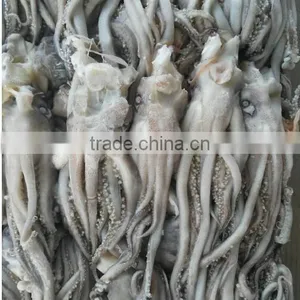 Frozen Squid Head thumbnail-1
