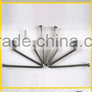 Round Nail/round Wire Nails thumbnail-6