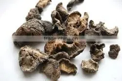 Emblica Officinalis thumbnail-3