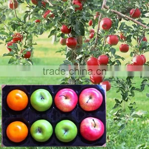 China Supplier SGS Square PP Tray thumbnail-1