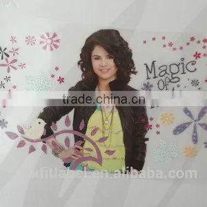 Custom Plastisol Heat Transfer Label for Clothing thumbnail-2