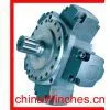 Low Speed High Torque Calzoni, Bignozzi or Intermot IAM and NHM Radial Piston Hydraulic Motor thumbnail-1